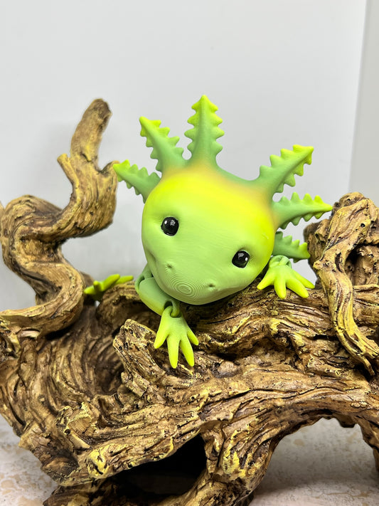 Smiling Axolotl - Medium (Solid Head Fins)