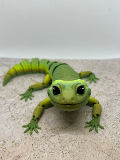 Leopard Gecko - Medium
