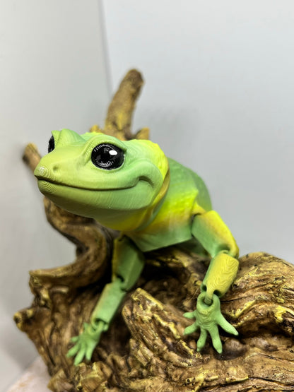 Leopard Gecko - Medium