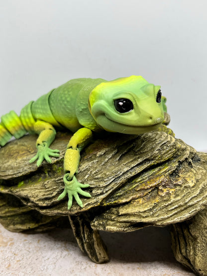 Leopard Gecko - Medium