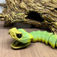 Snake - Rattlesnake