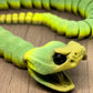 Snake - Rattlesnake