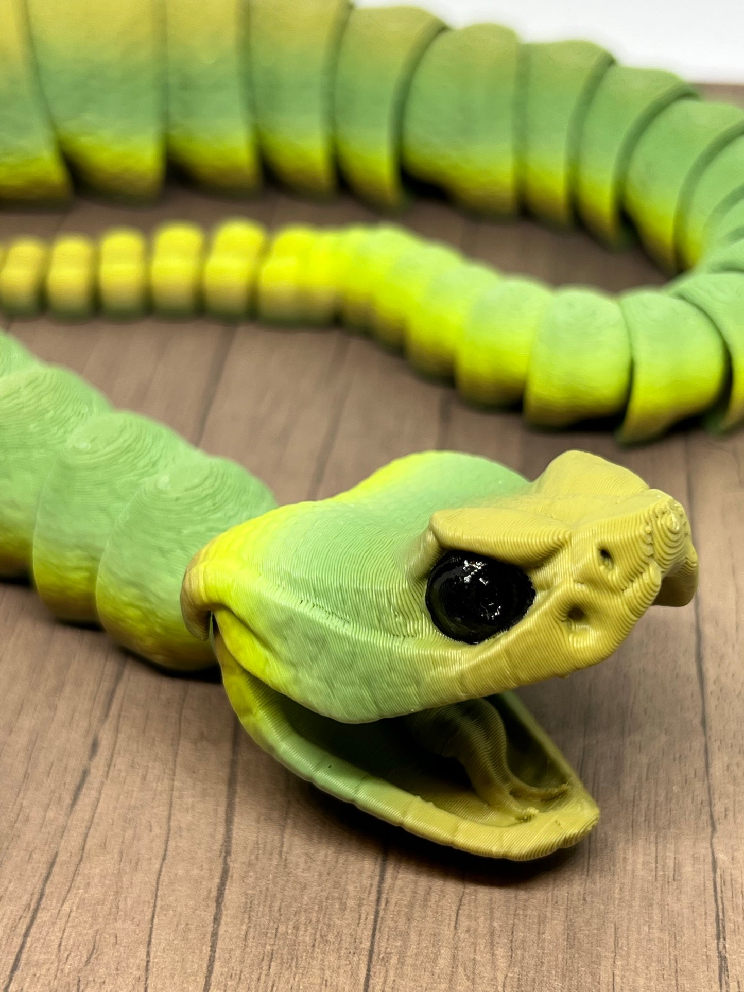 Snake - Rattlesnake