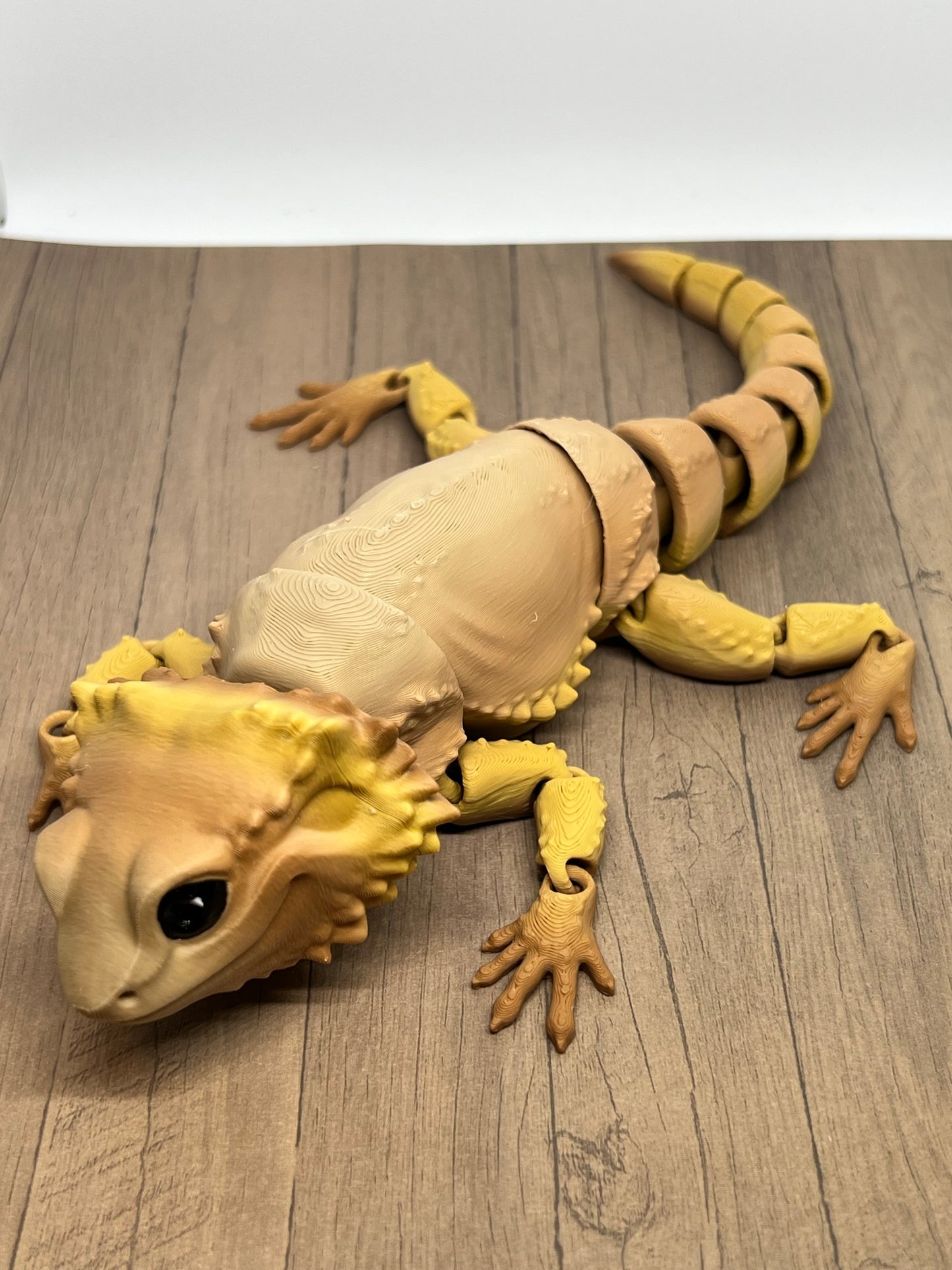 Bearded Dragon - Medium
