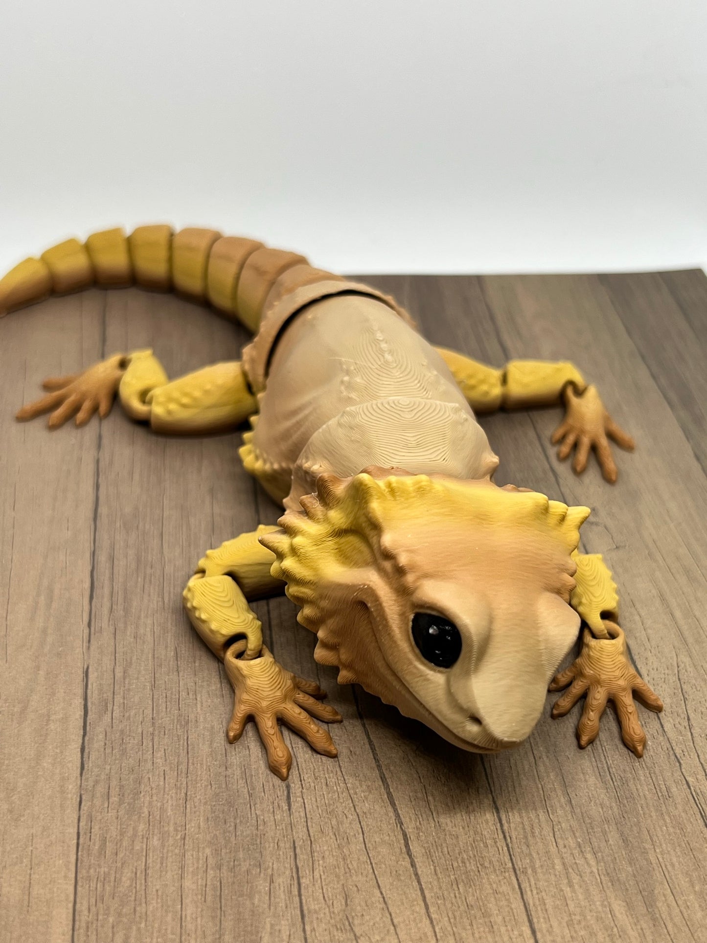 Bearded Dragon - Medium