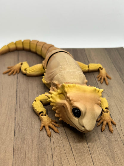 Bearded Dragon - Medium