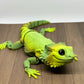 Bearded Dragon - Medium