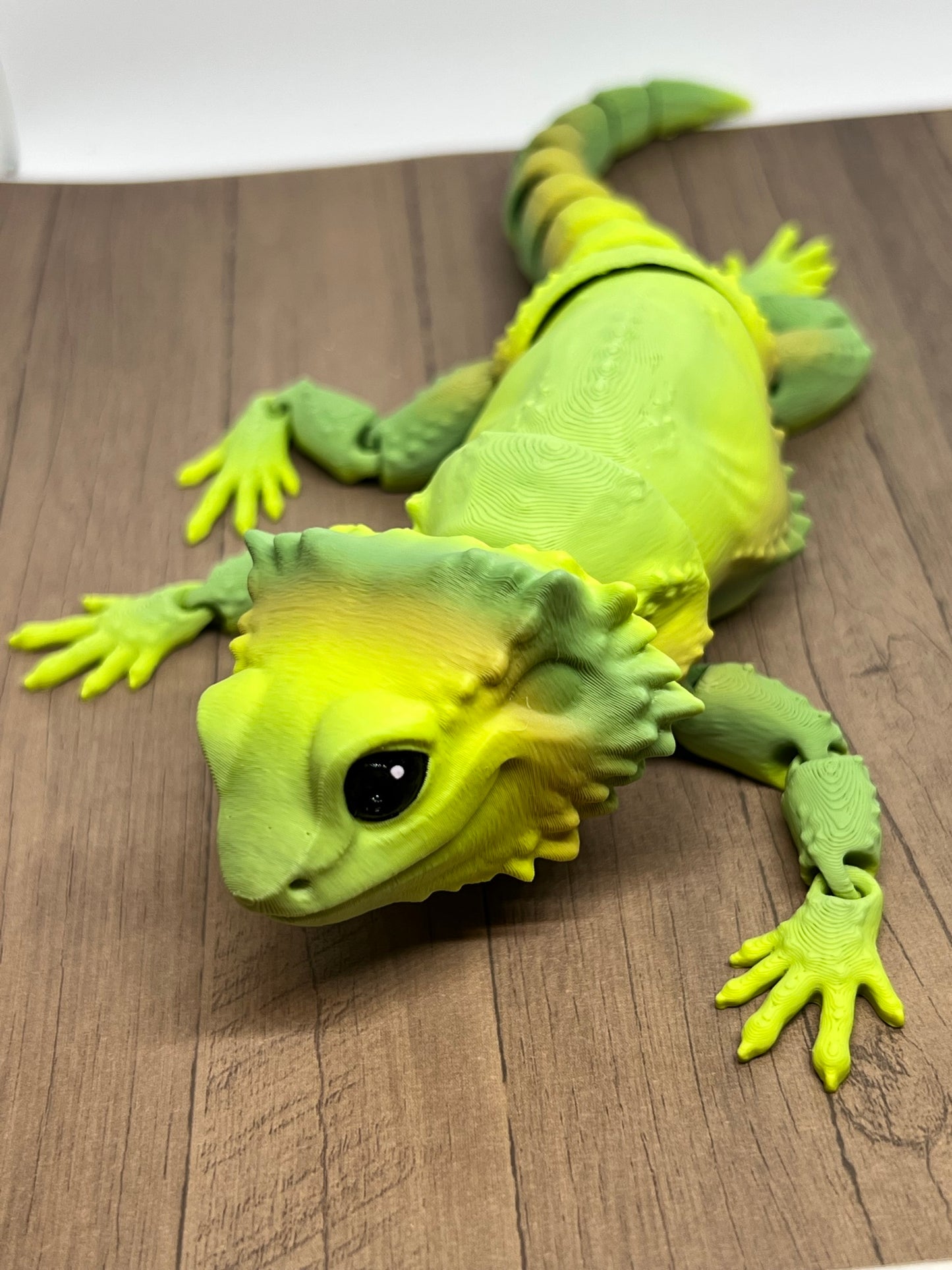 Bearded Dragon - Medium