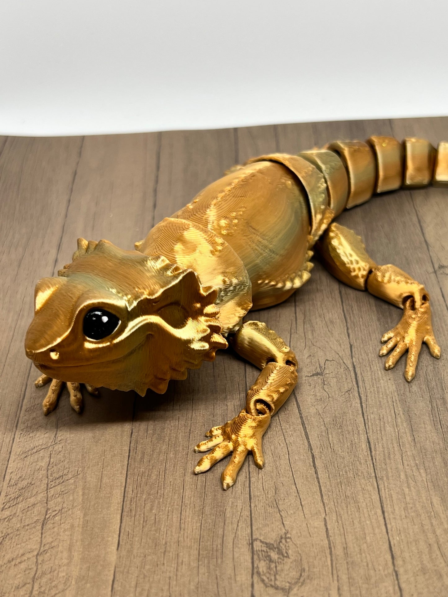 Bearded Dragon - Medium