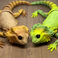 Bearded Dragon - Medium