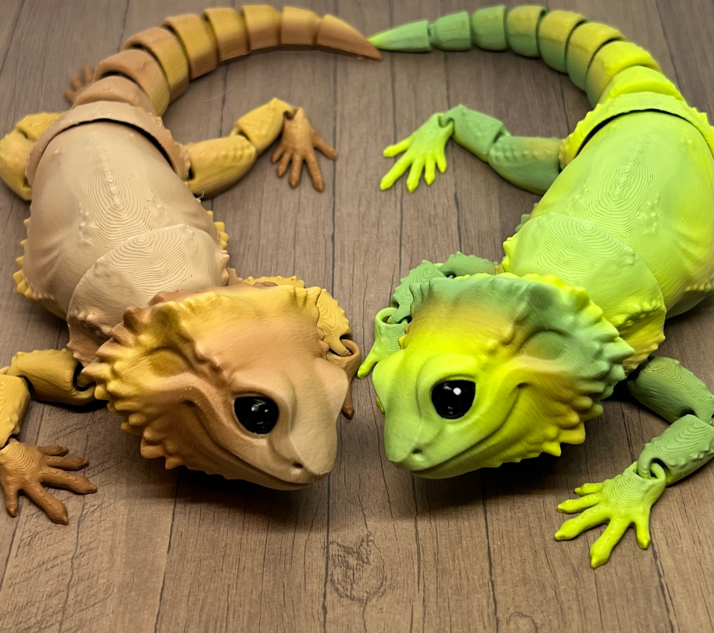 Bearded Dragon - Medium