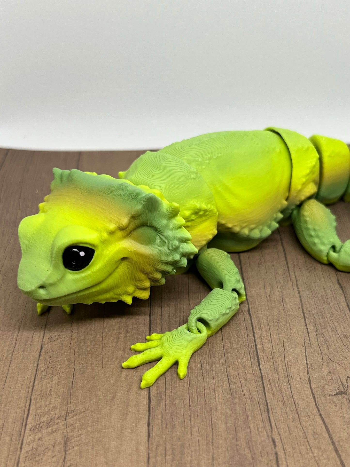 Bearded Dragon - Medium