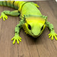 Bearded Dragon - Medium