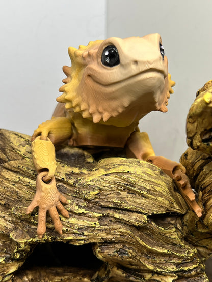 Bearded Dragon - Medium