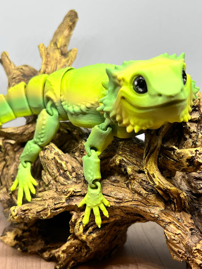 Bearded Dragon - Medium