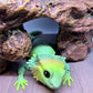 Bearded Dragon - Medium